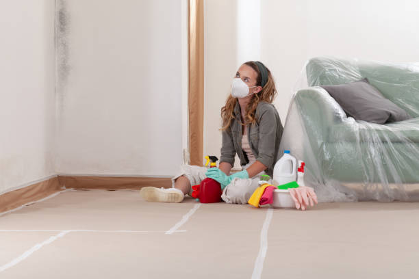 Reliable Basement Mold Remediation contractor in Angier, NC by Car Mold Remediation